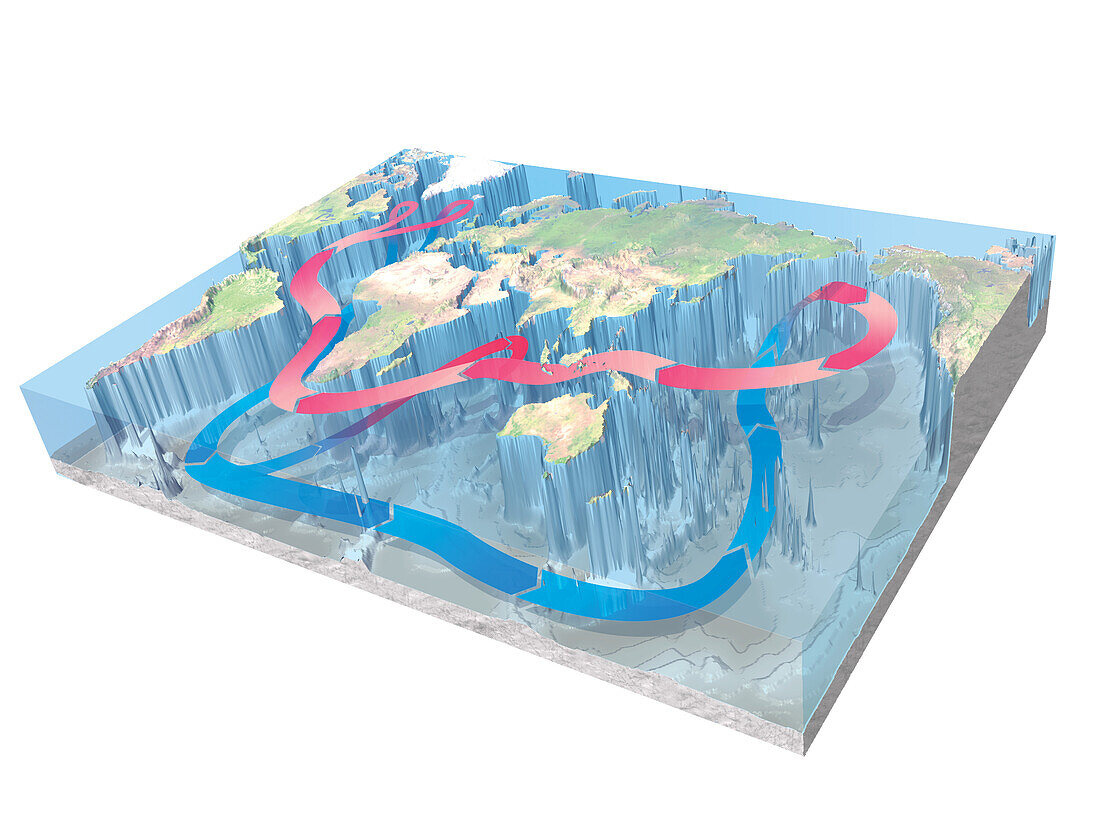 Deep water circulation around the continents, illustration