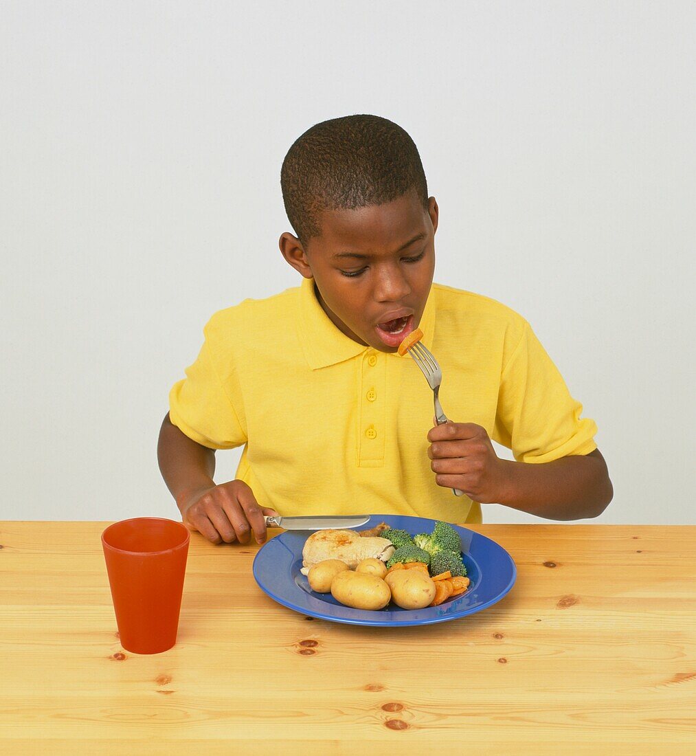 Boy eating from plate of vegetables and meat