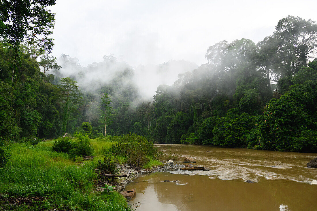 Danum river, Malaysian Borneo