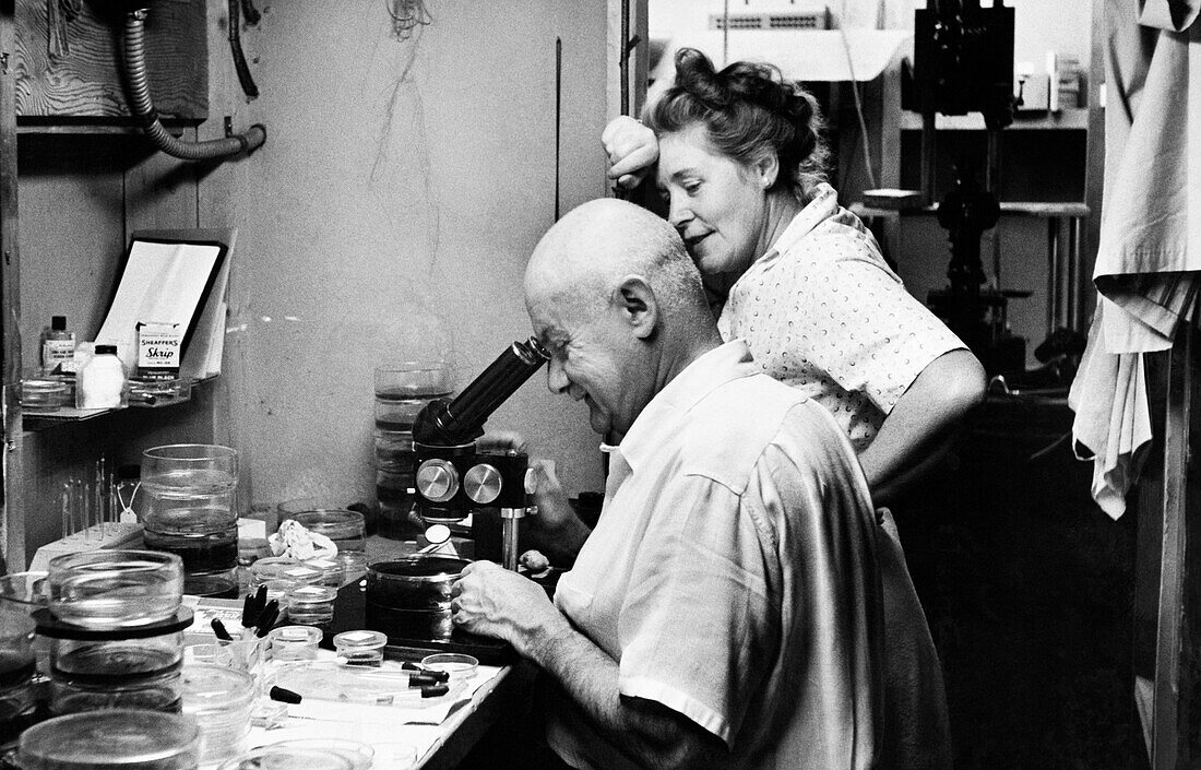 Roman Vishniac, Russian-American biologist, 1958