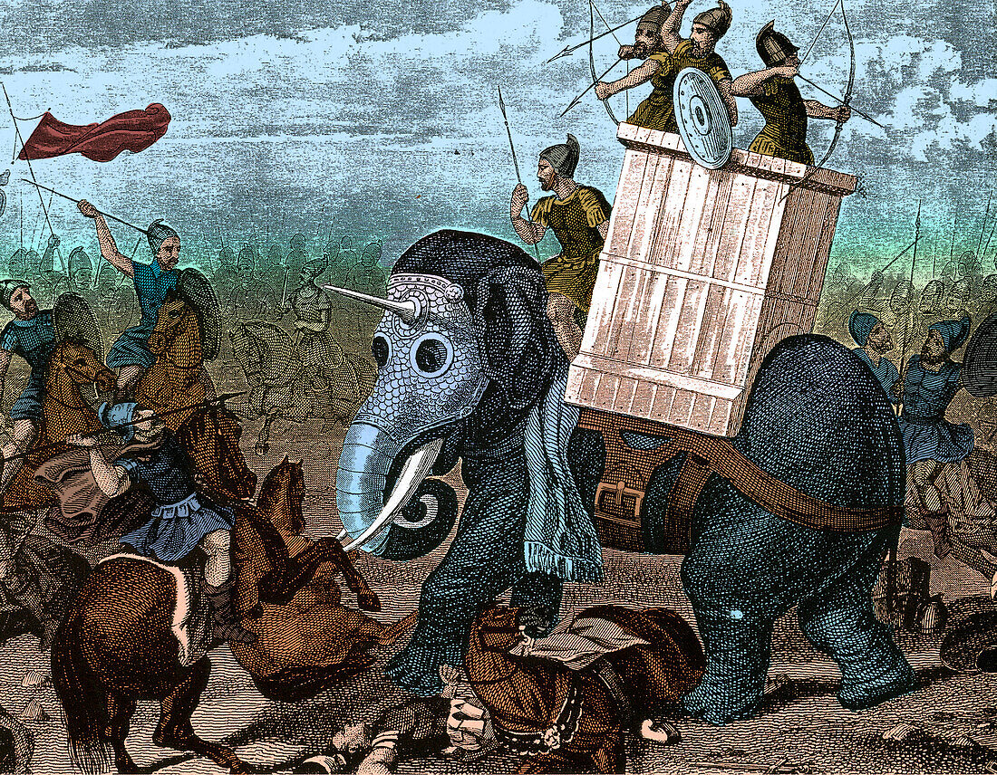 Riding war elephant