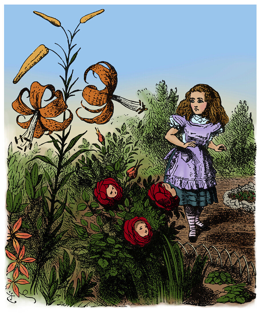 Through the Looking-Glass, Alice In the Garden of Live Flowers