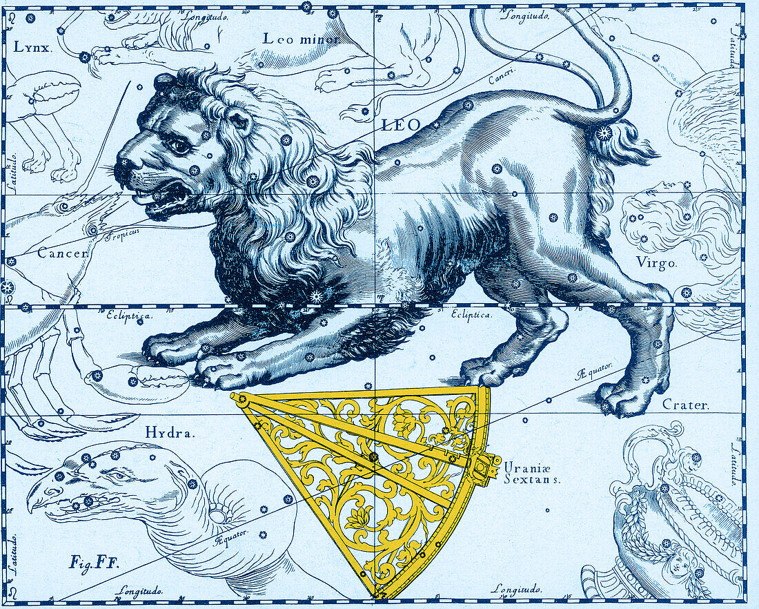 Leo Constellation, Zodiac Sign, Hevelius