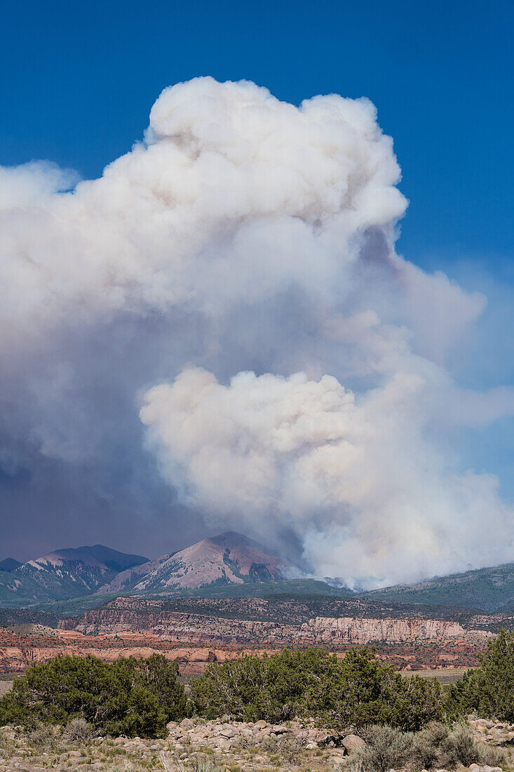 Smoke rising from a large wildfire, Utah, USA