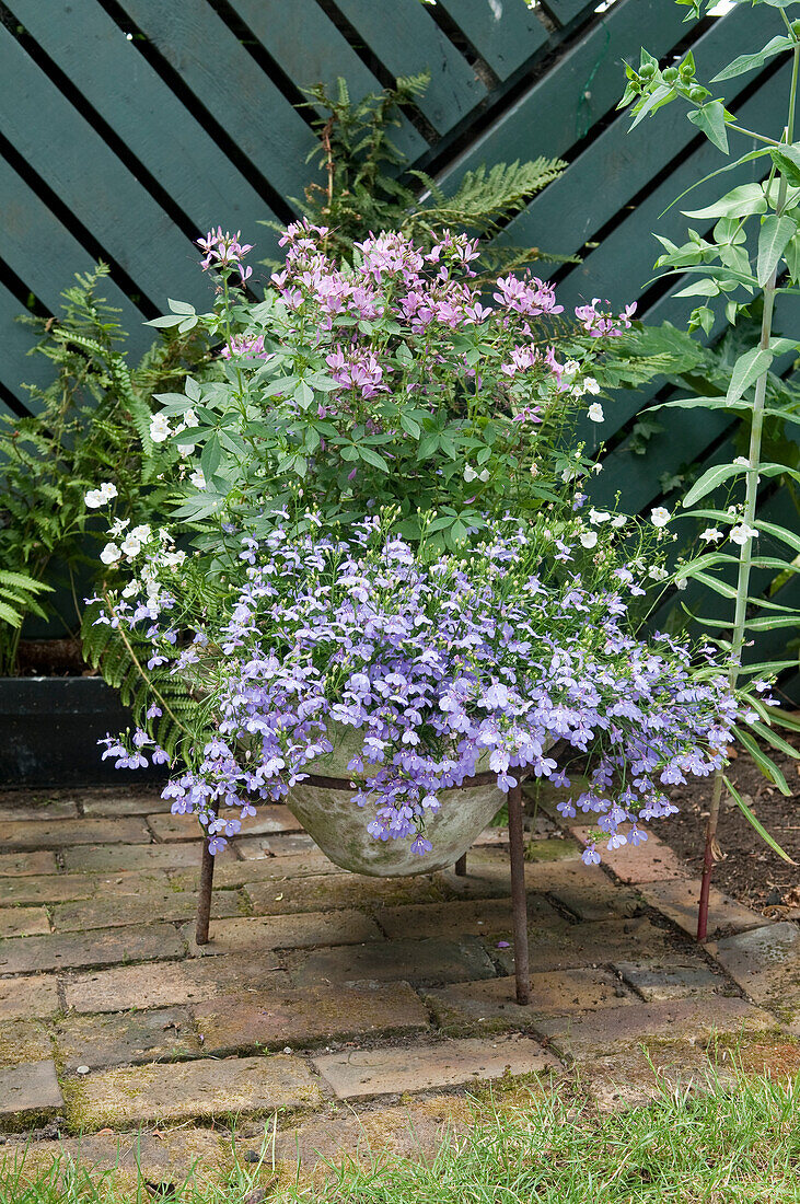 Plants in container on small stand