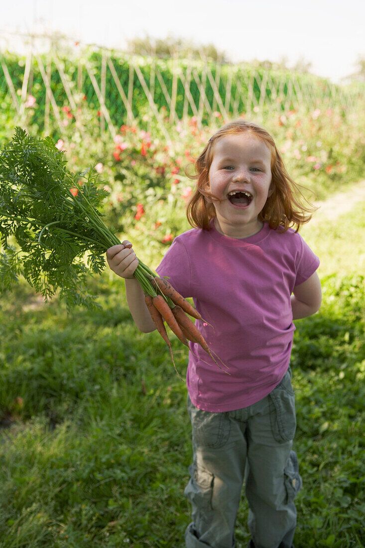 Girl holding freshly picked carrots