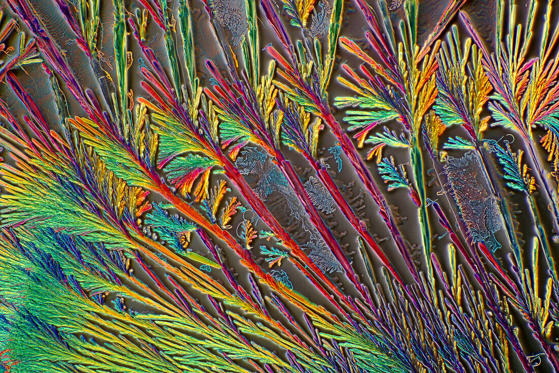 Glycine crystals, polarised light micrograph