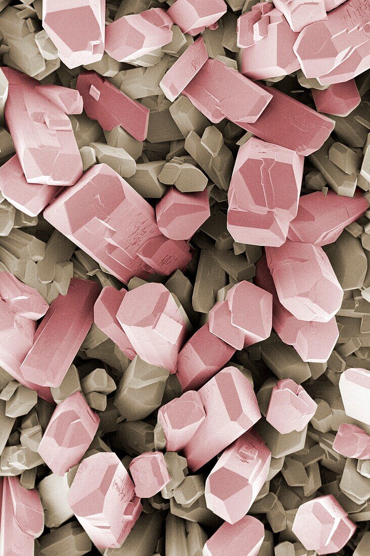 SEM of vitamin C crystals