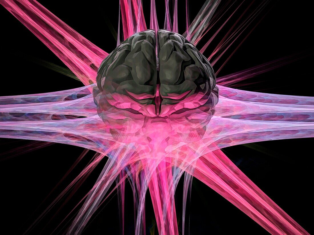Brain and nerve cell, conceptual illustration