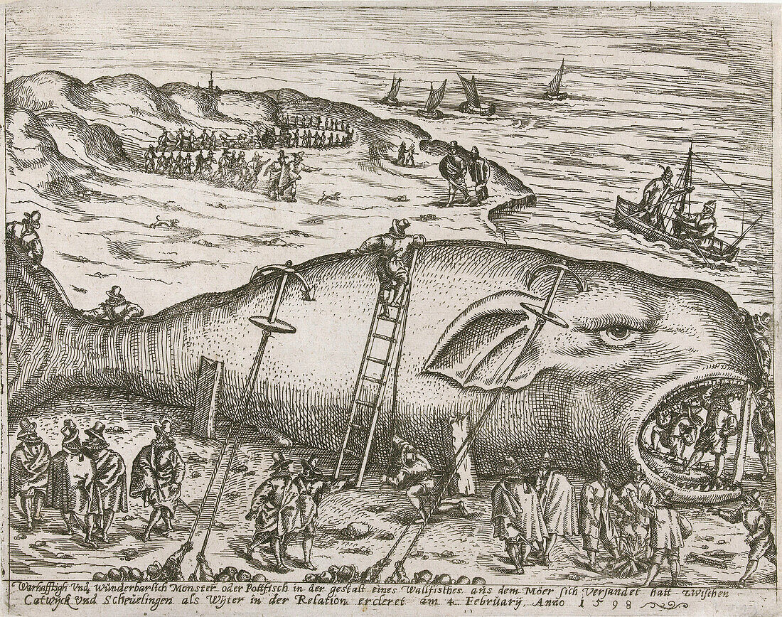 People surrounding a whale washed ashore, illustration