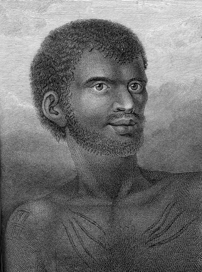 Tasmanian man, 18th century illustration