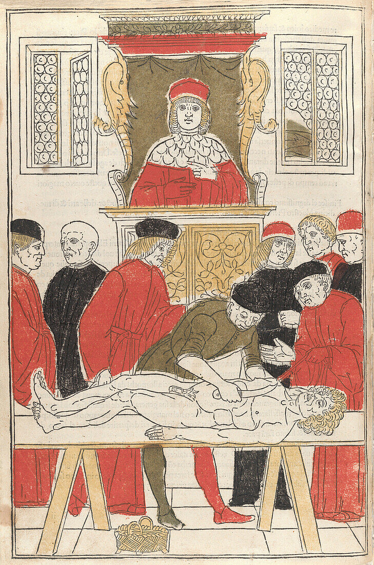 Fasciculo di medicina, 15th century