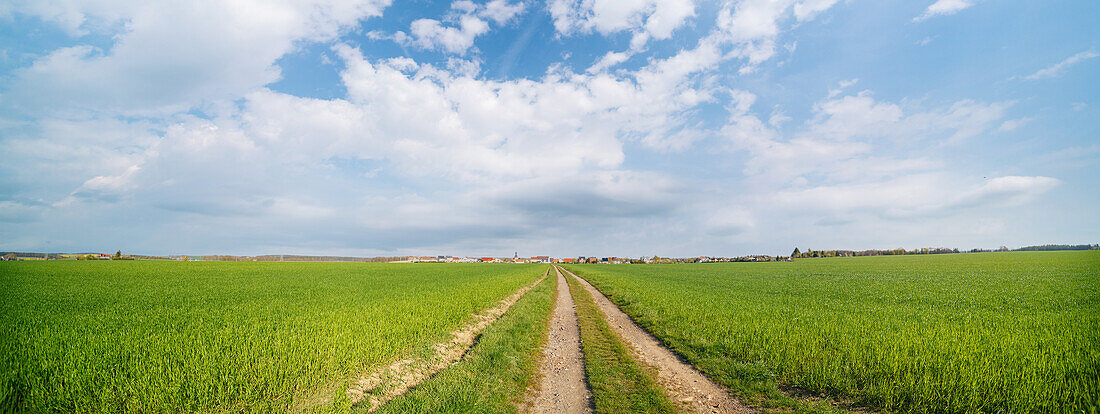 Field with white clouds in the sky