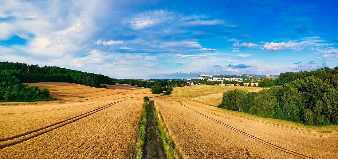 Field with ripe wheat and a country road