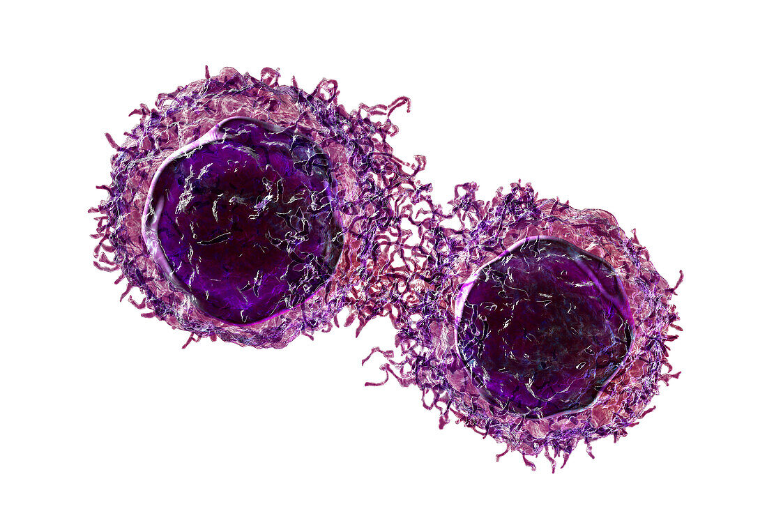 Cancer cells, illustration