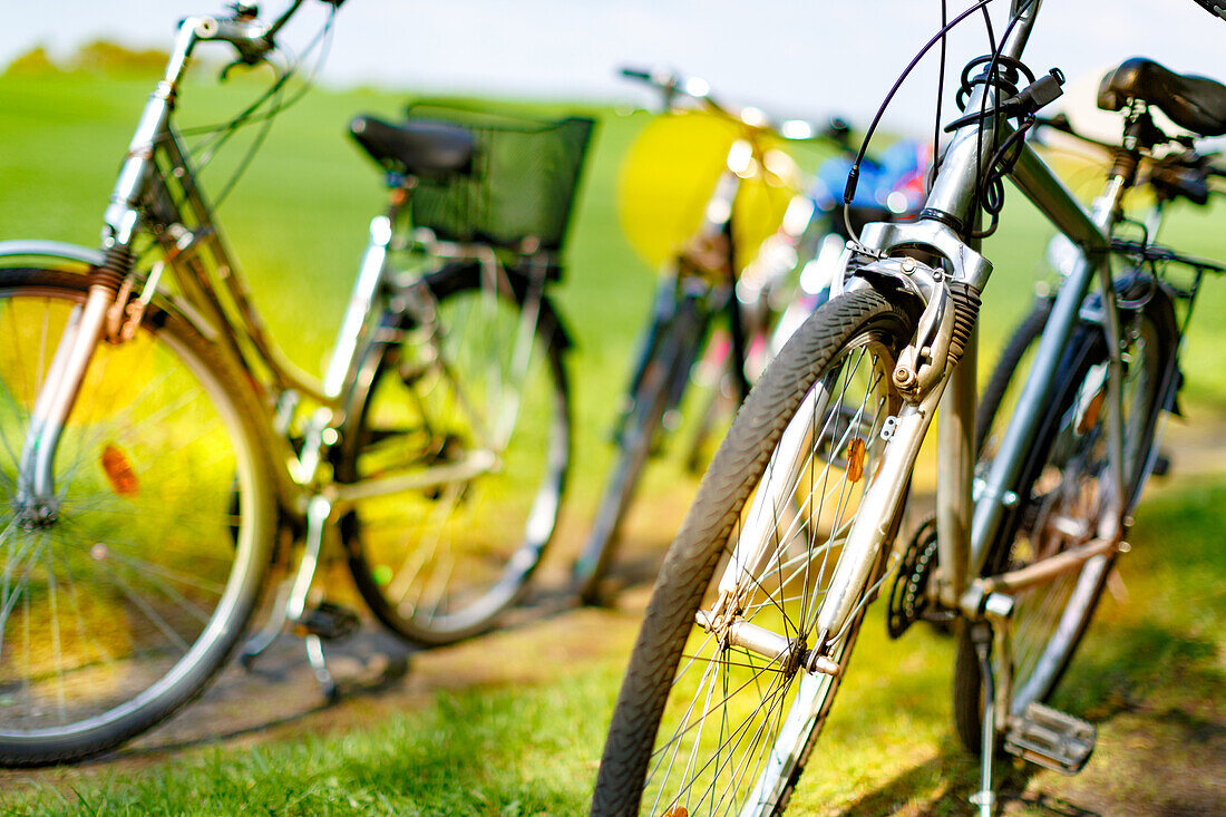 Bicycles in a park