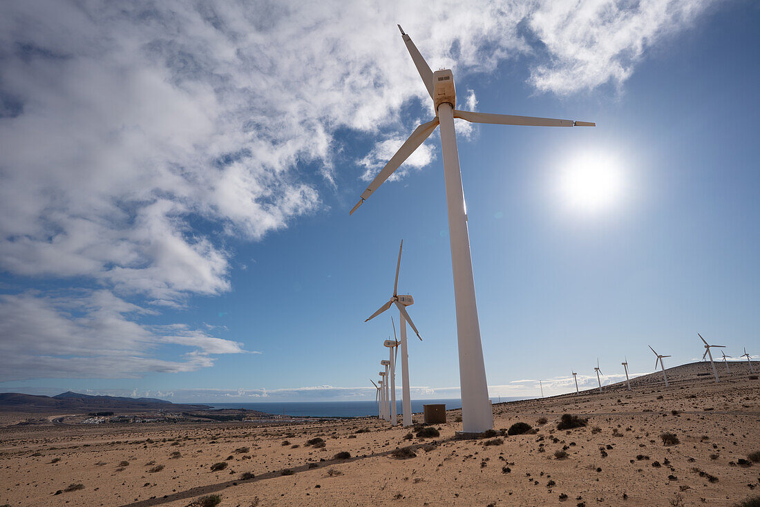 Electric wind turbine generators in the desert