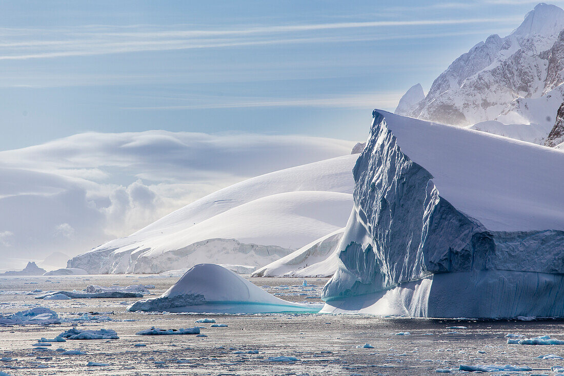 Icebergs and Western Antarctic Peninsula