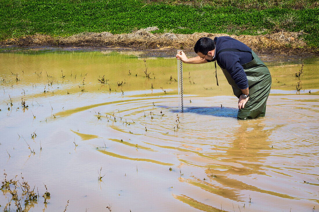 Scientist measuring environmental water quality in a wetland