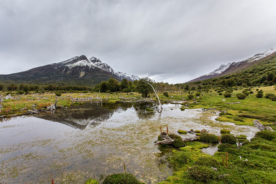 Mountain reflected in a pond, Tierra del Fuego, Argentina