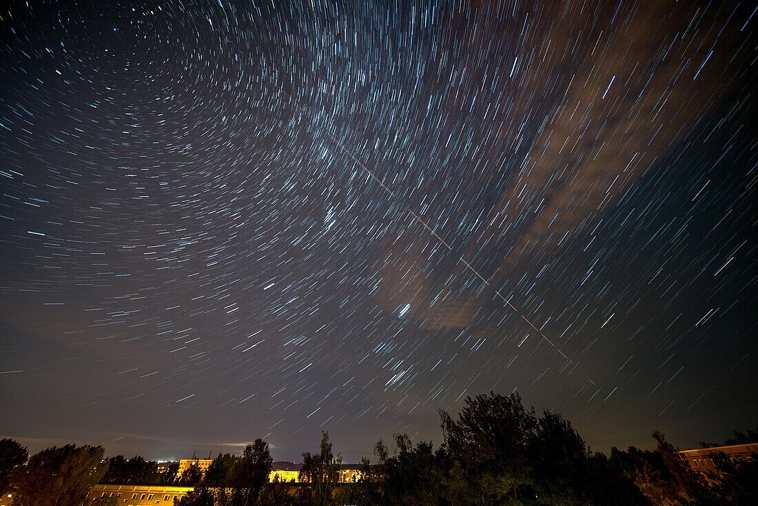 Star trails over trees