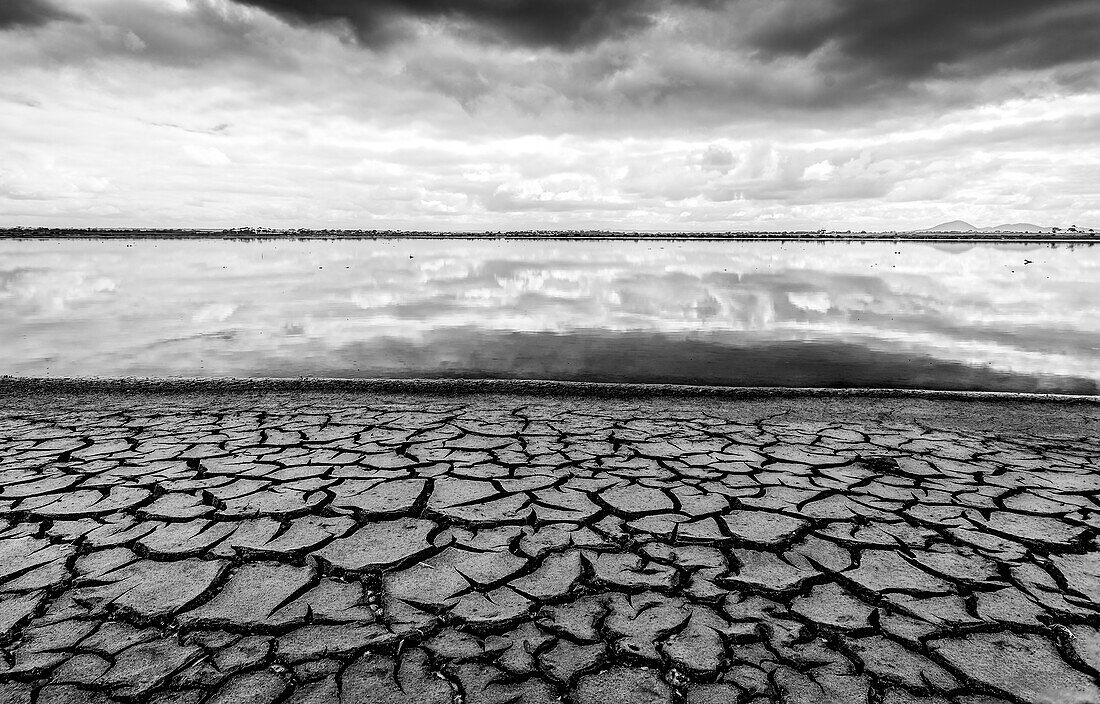 Cracked earth at a saltpond