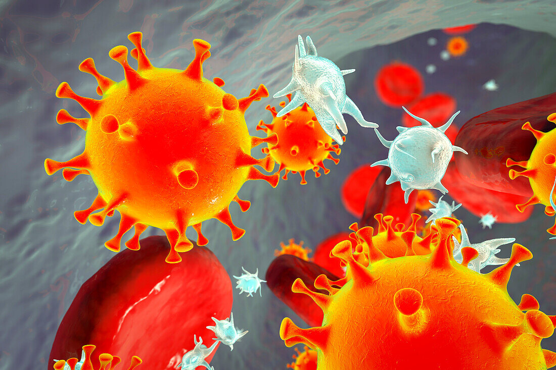 COVID-19 virus and activated platelets, illustration