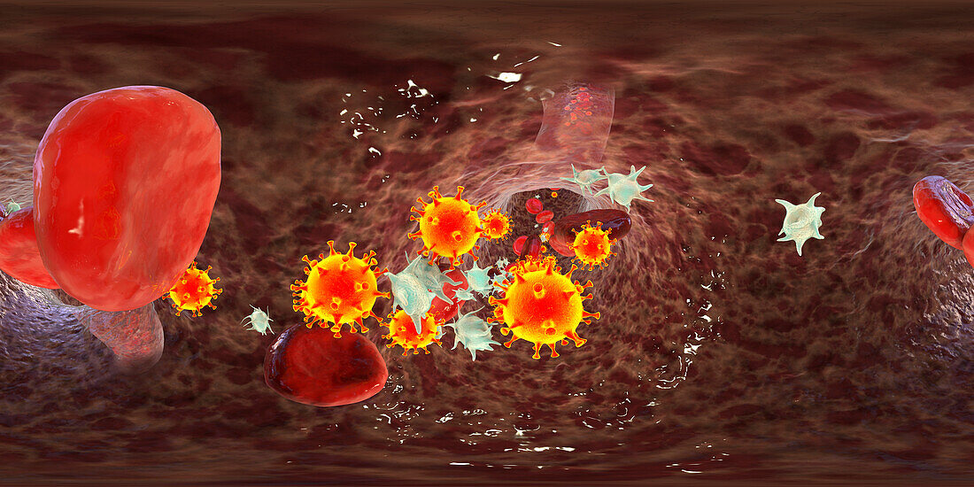 COVID-19 virus and activated platelets, illustration