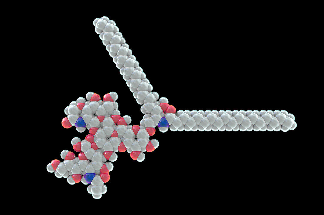 Molecule of Ganglioside GM2, illustration