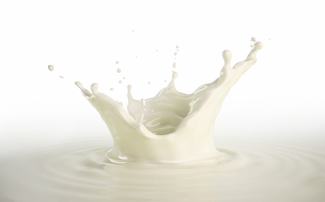 Milk crown splash, illustration