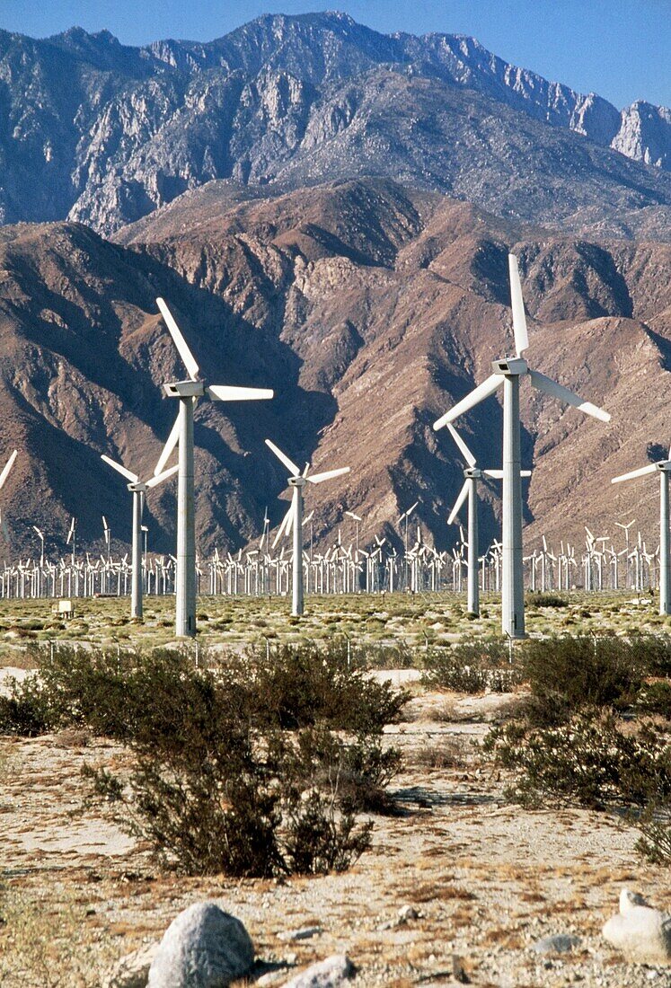 Wind farm at San Gorgonio Pass, California
