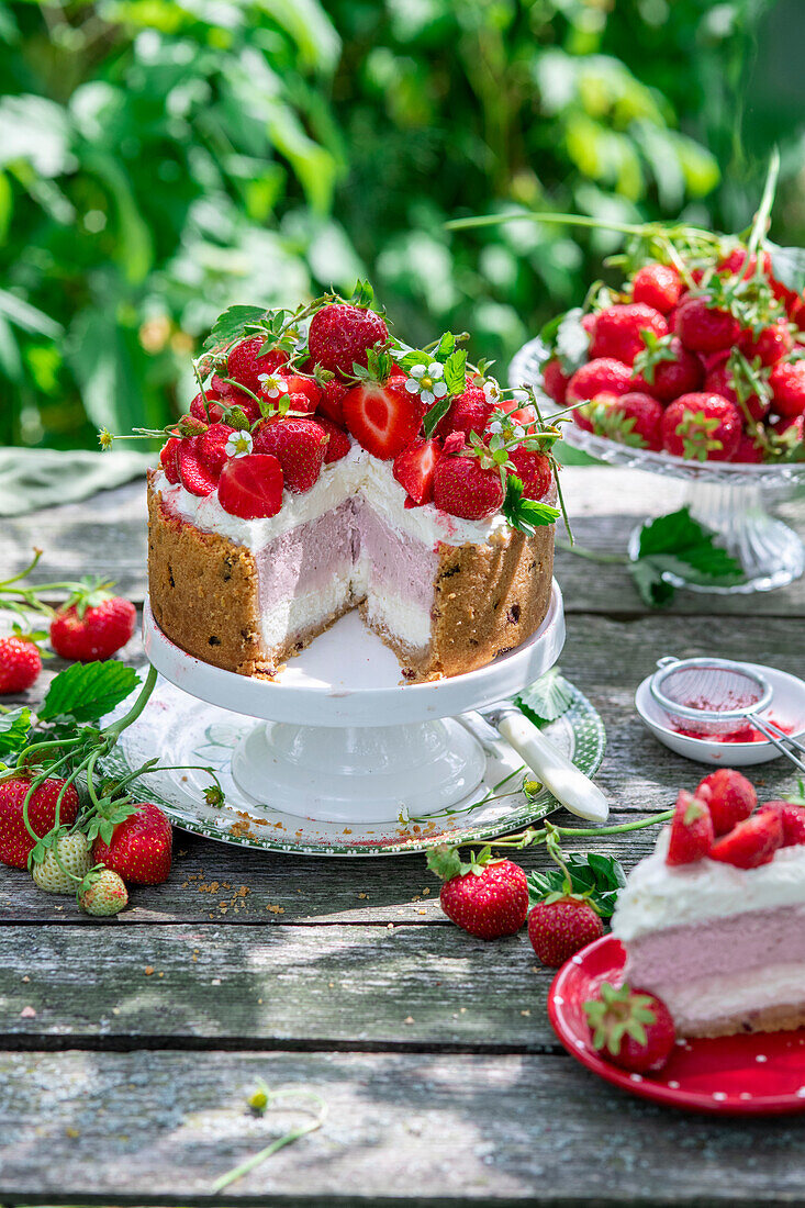 Erdbeer-Cheesecake mit gefriergetrocknetem Erdbeerboden