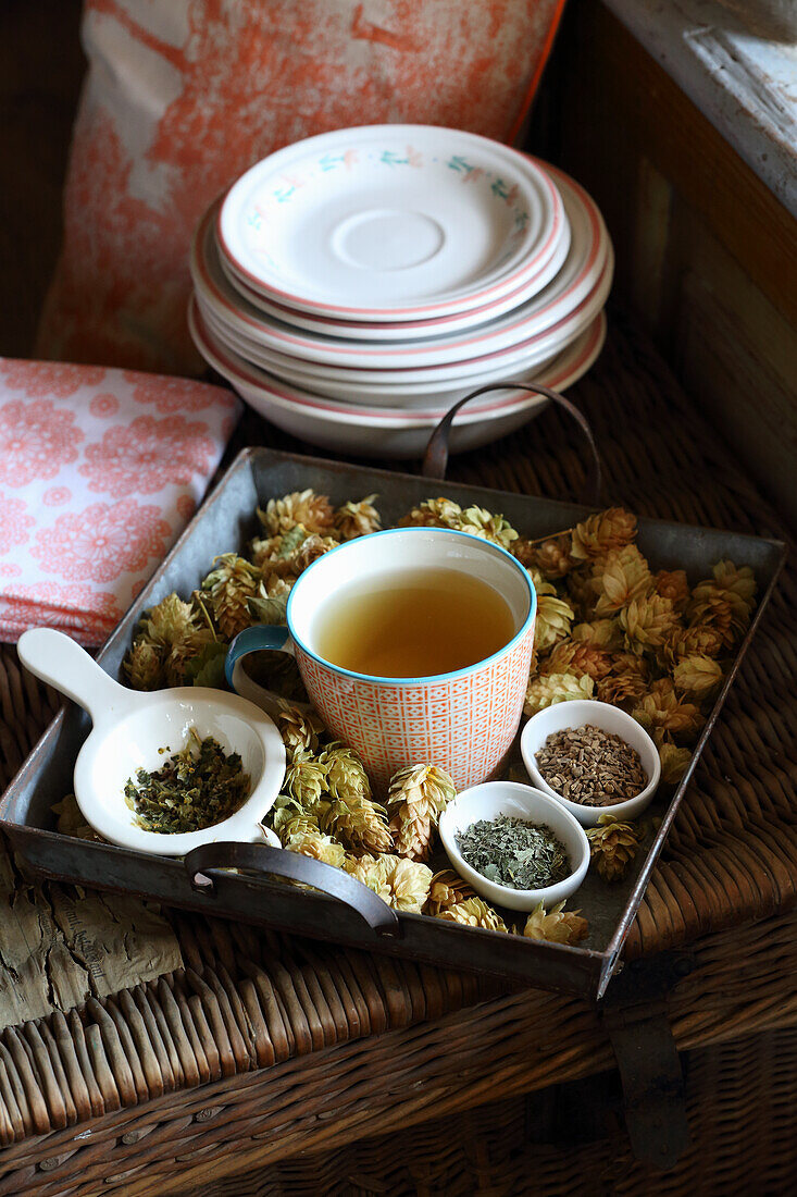Sleep tea made from hop blossoms