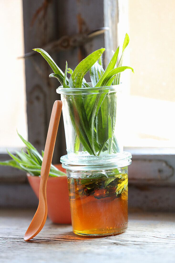 Homemade ribwort syrup (for coughs)