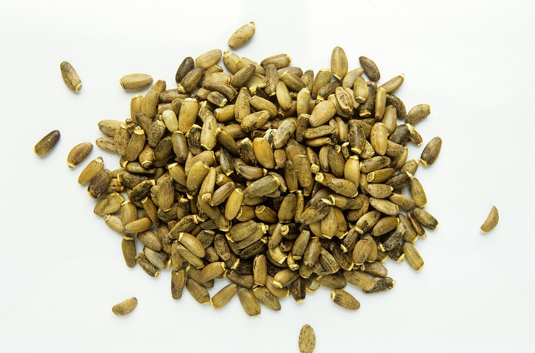 A heap of milk thistle seed (Silybum marianum)