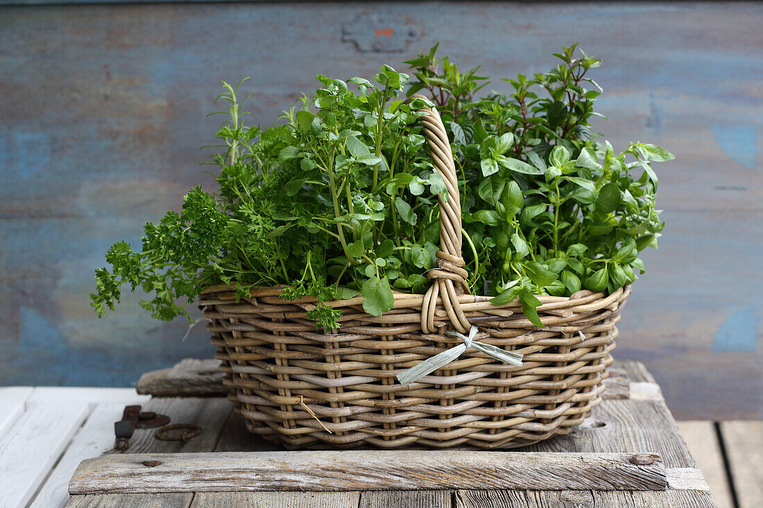 Basket with fresh herbs
