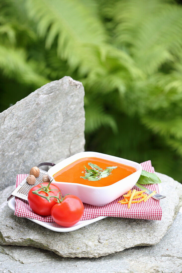 Vegetable broth from tomatoes