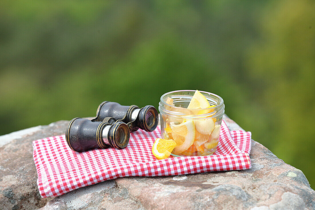 Zitronenschnitze im Glas daneben Fernglas (für die Fastenwanderung)