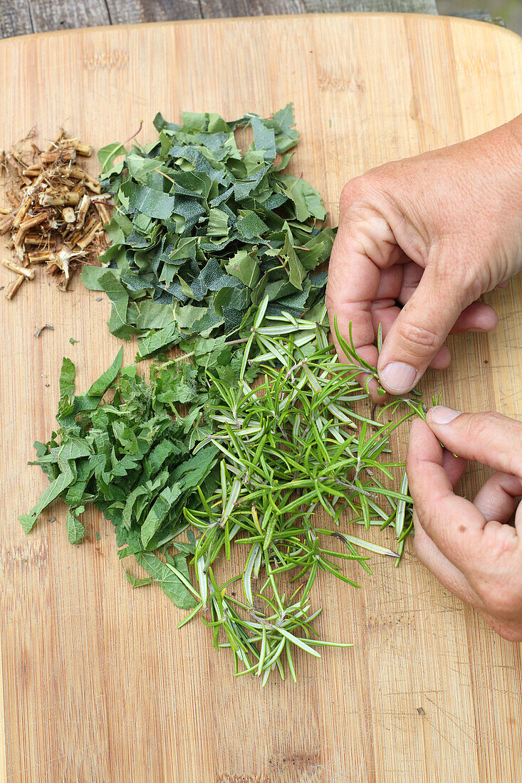 Pluck and chop herb leaves (for hair tonic)