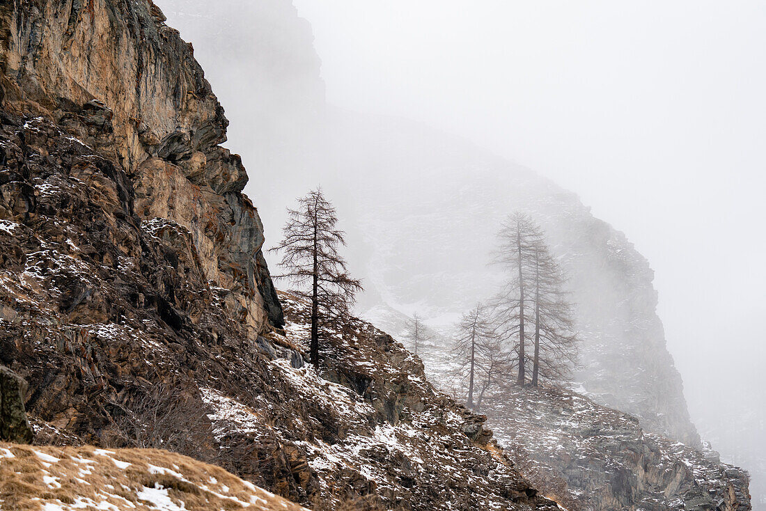 Gran Paradiso National Park, Aosta Valley, Italy