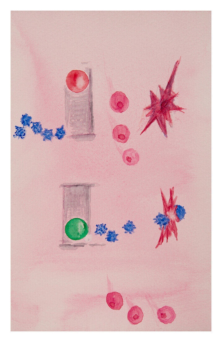 Immune checkpoint inhibition, conceptual illustration