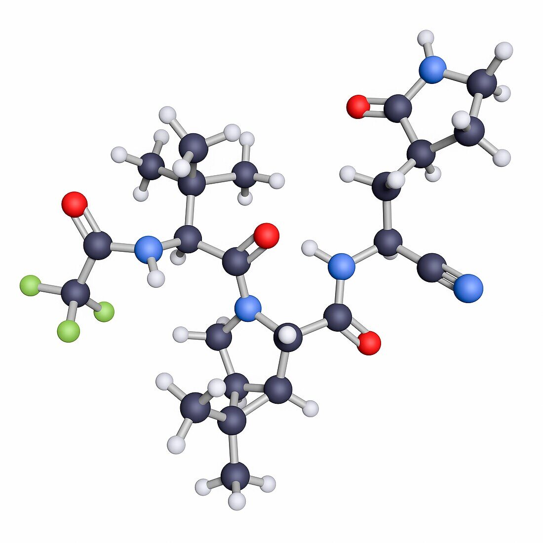 Nirmatrelvir drug for Covid-19, molecular model