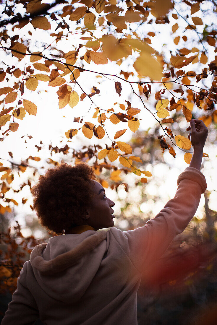 Young woman looking up at autumn leaves
