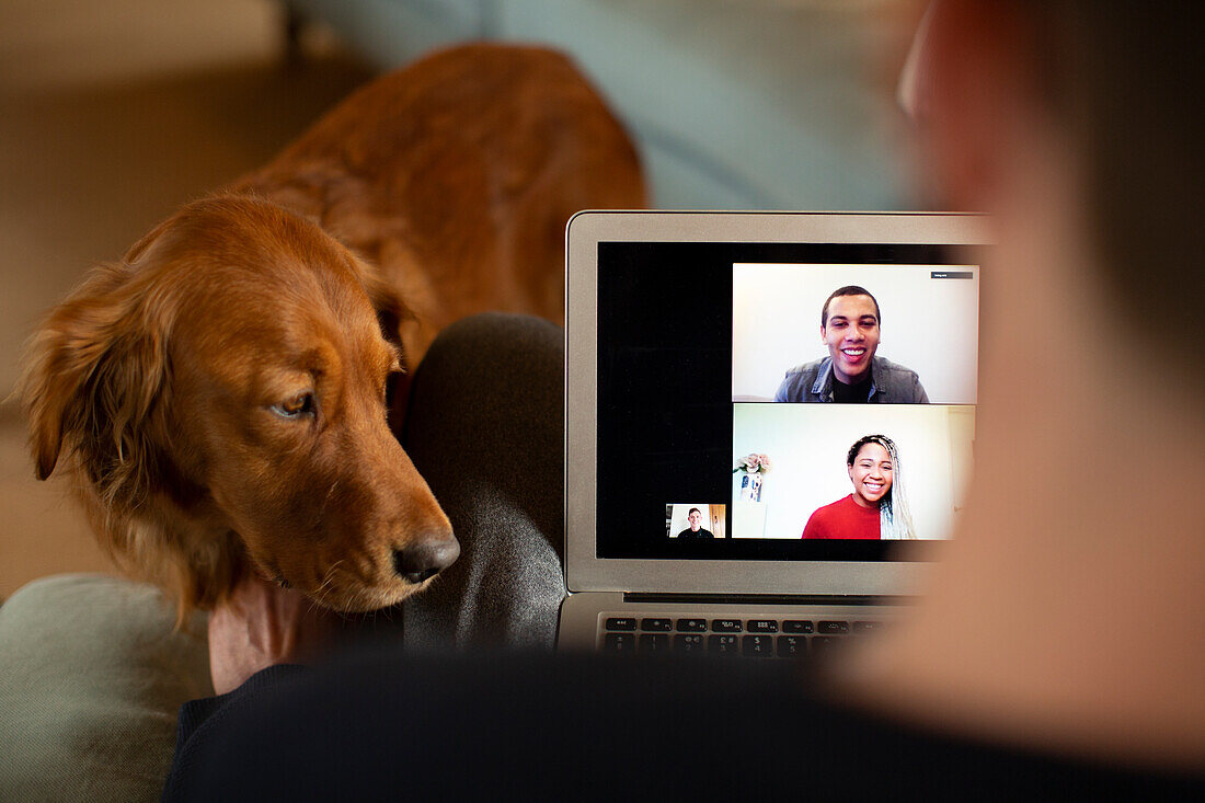 Man with dog video chatting on laptop screen