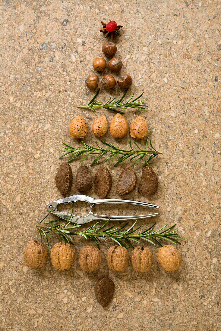 Nüsse und Rosmarin in Weihnachtsbaum arrangiert