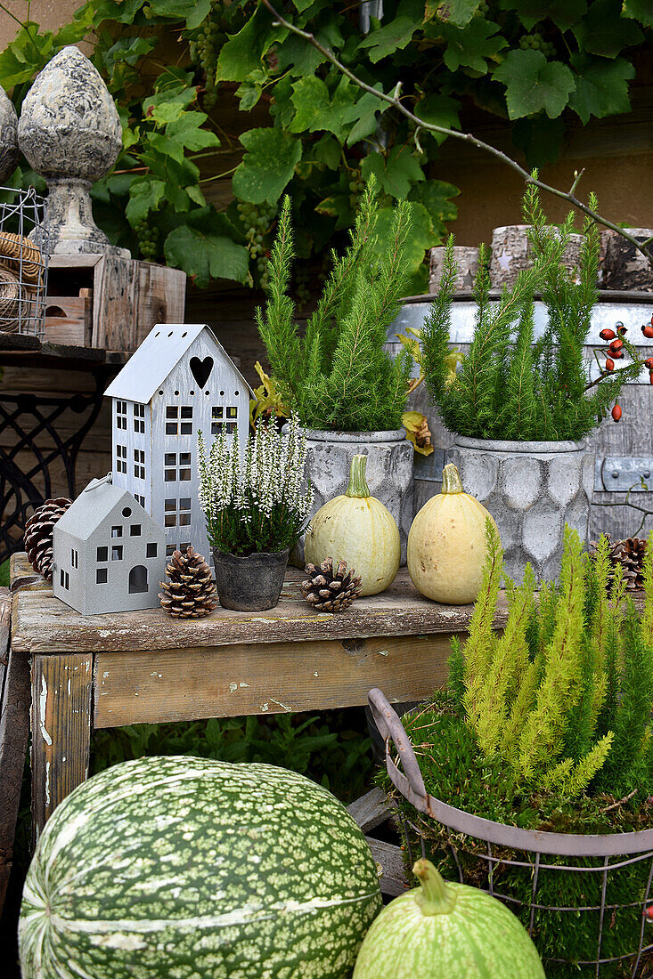 House-shaped ornaments, pumpkins and autumnal decorations in garden