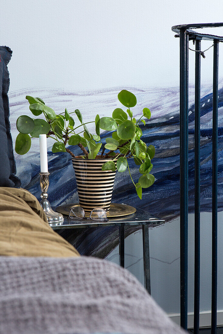 Pilea in a striped planter on a bedside table
