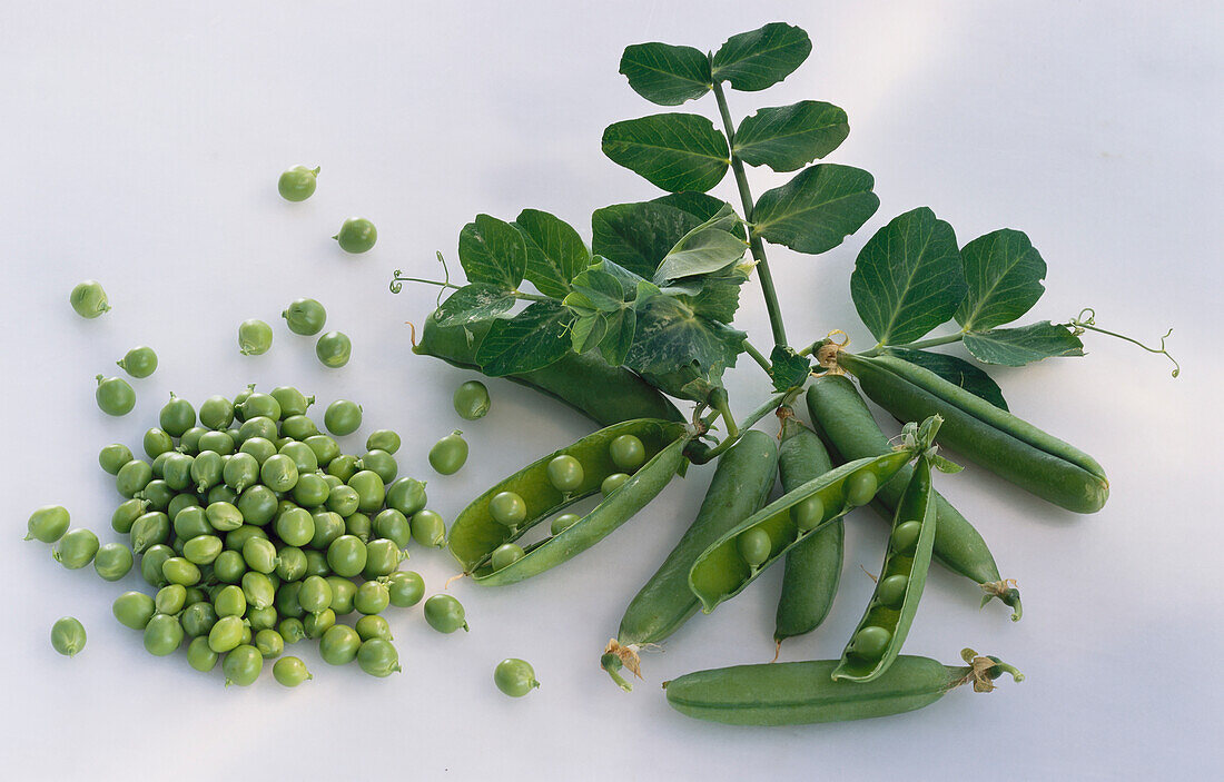 Peas and pea pods with leaves