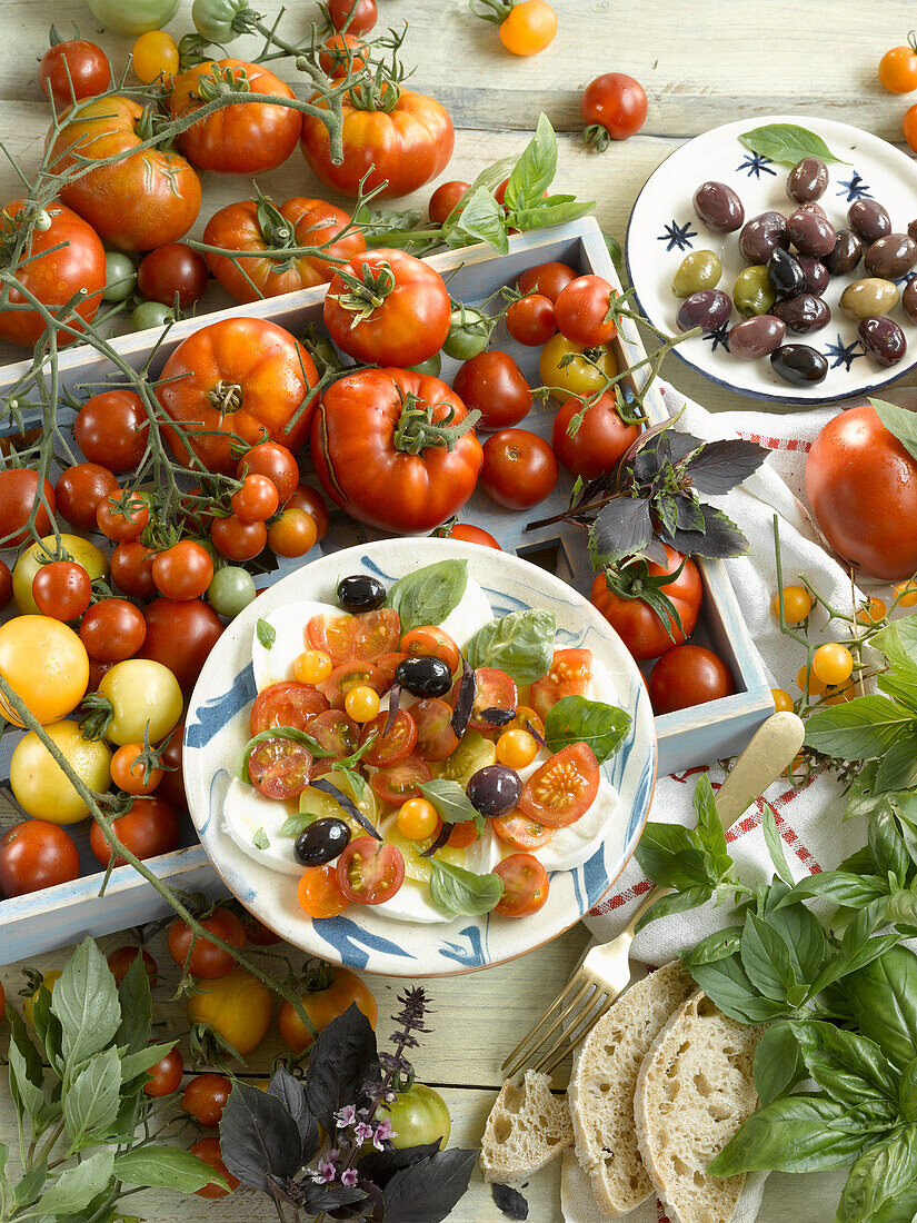 Ingredients for caprese salad and a plate with tomatoes, mozzarella, basil, olives