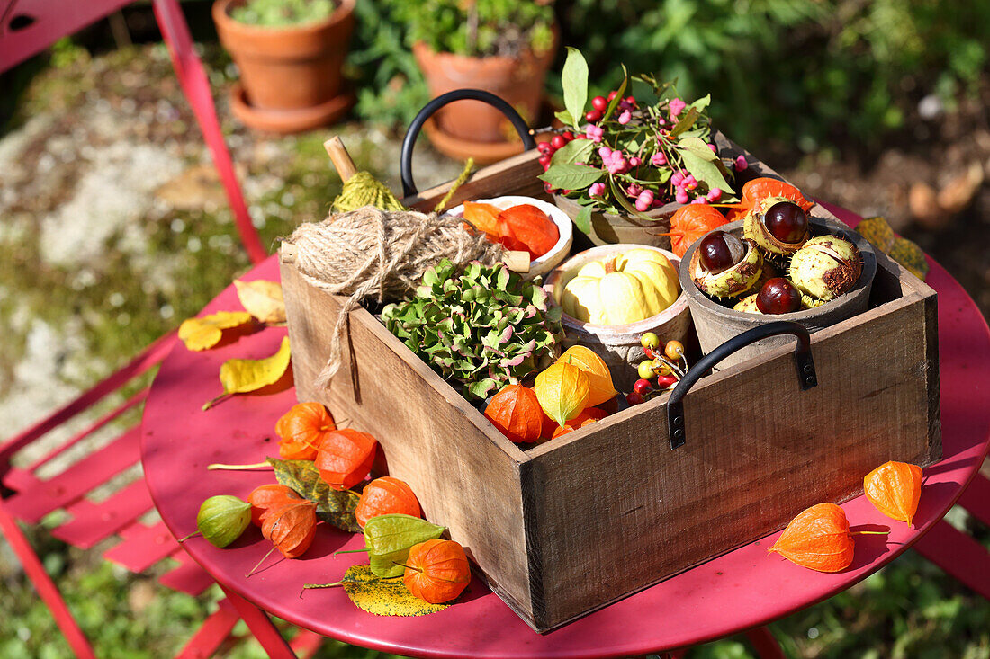 Holzkästchen mit Zierkürbissen, Kastanien, Hortensienblüten und Lampionblumen